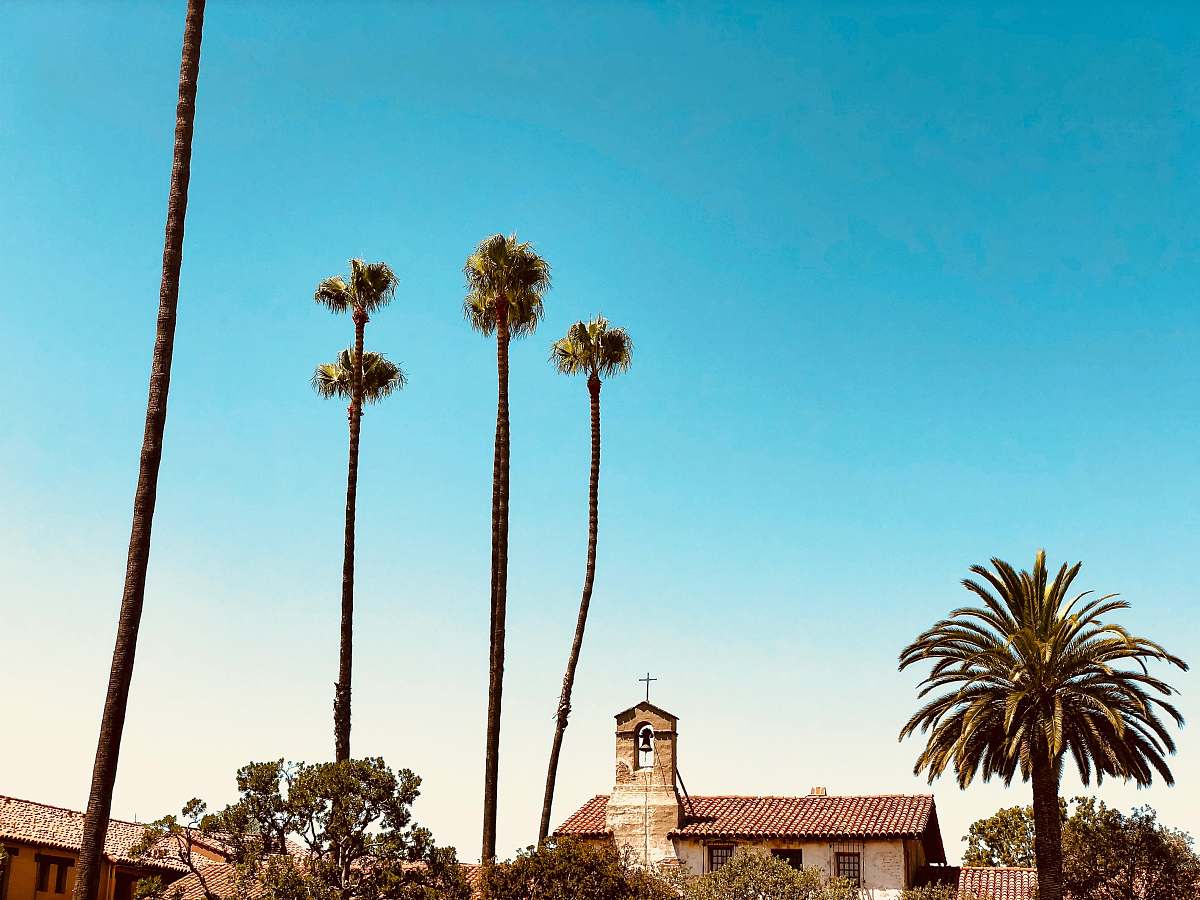 blue brown concrete houses near green trees palm tree